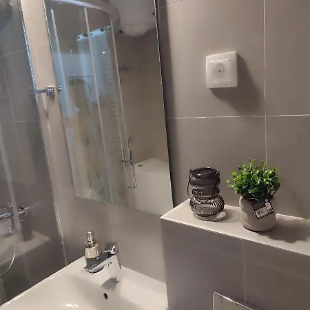 Violin Нови-Сад