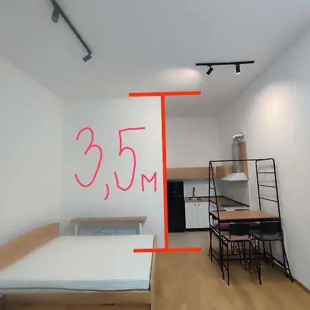 Violin * Нови-Сад