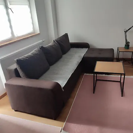 Violin * Нови-Сад