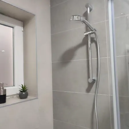 Violin Нови-Сад