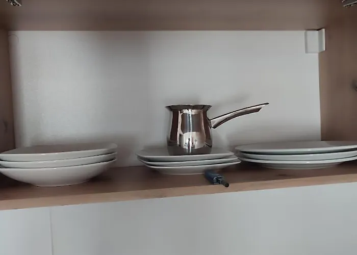 Violin Apartament Novi Sad